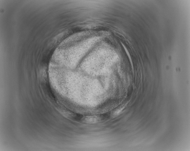 X0000075410127200609291716