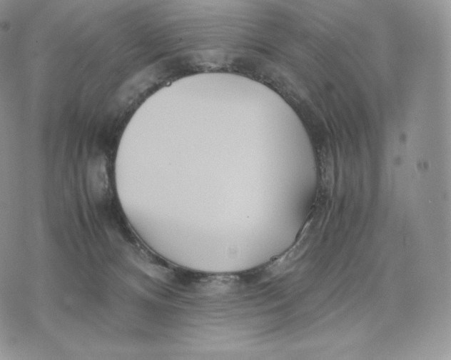 X0000075410128200609291716