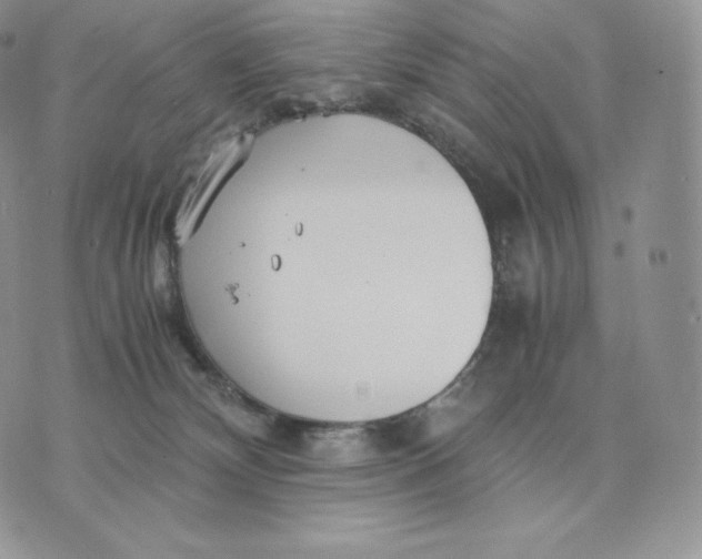 X0000075410132200609291716