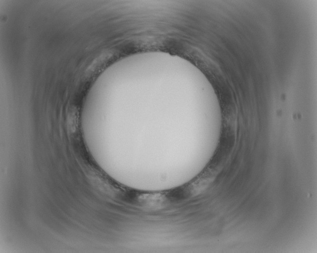 X0000075410133200609291716