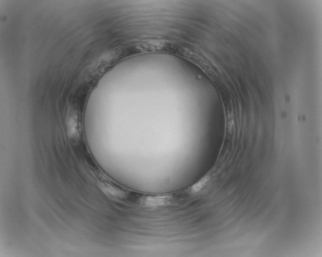 X0000075410134200609291716