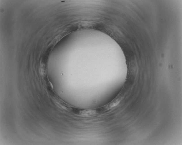 X0000075410135200609291716