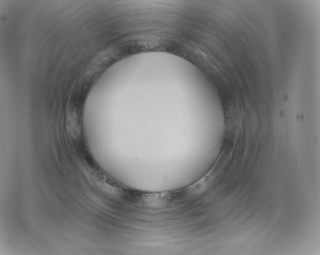 X0000075410136200609291716