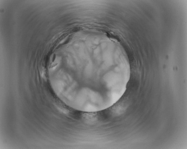 X0000075410139200609291716