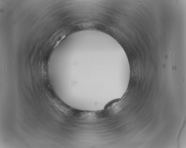 X0000075410140200609291716