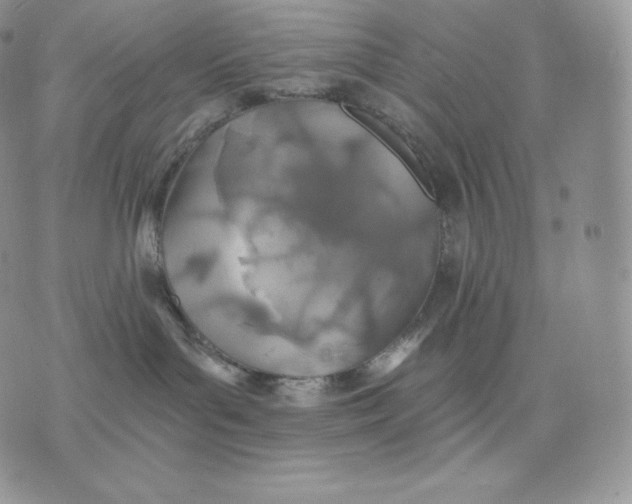 X0000075410143200609291716