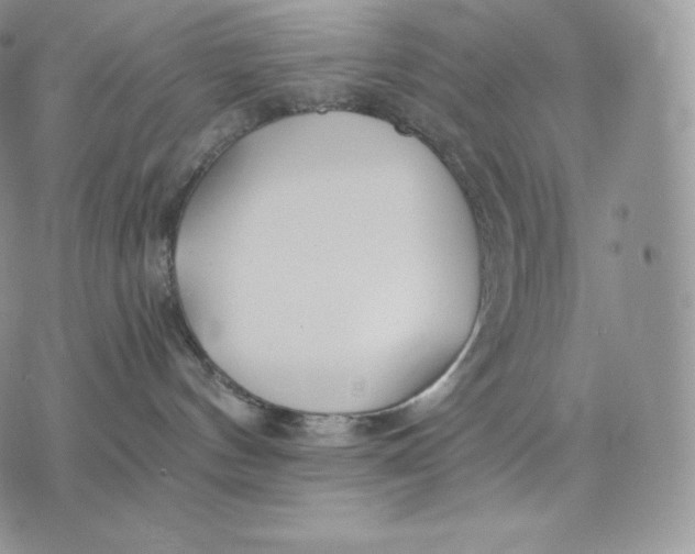 X0000075410144200609291716