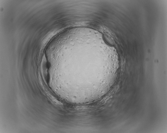 X0000075410145200609291715