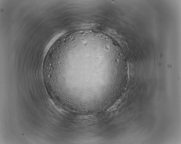 X0000075410147200609291715