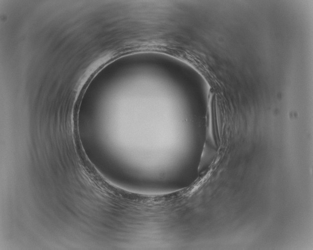 X0000075410148200609291715