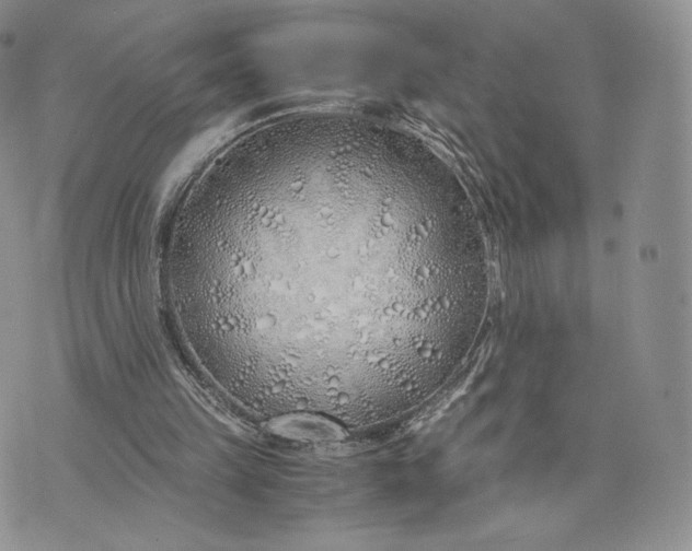 X0000075410149200609291715