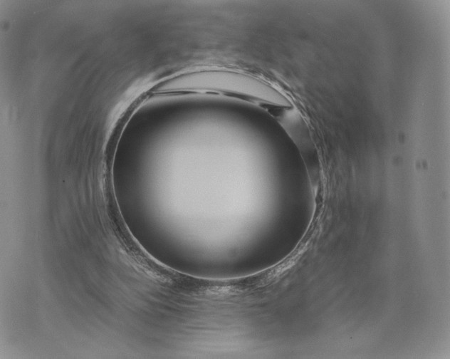 X0000075410152200609291715