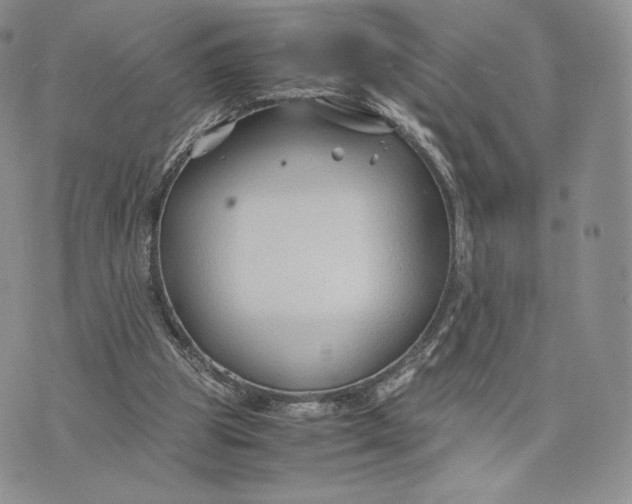 X0000075410153200609291715