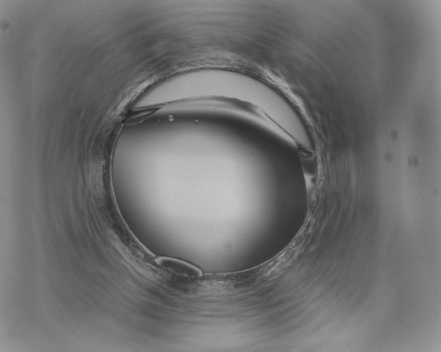 X0000075410154200609291715