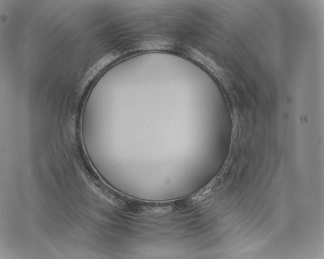 X0000075410155200609291715