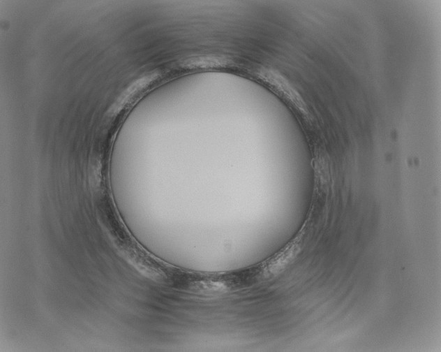 X0000075410159200609291715