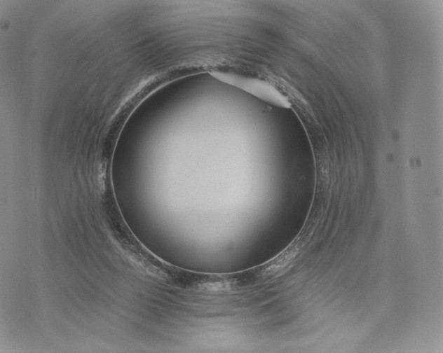 X0000075410160200609291715