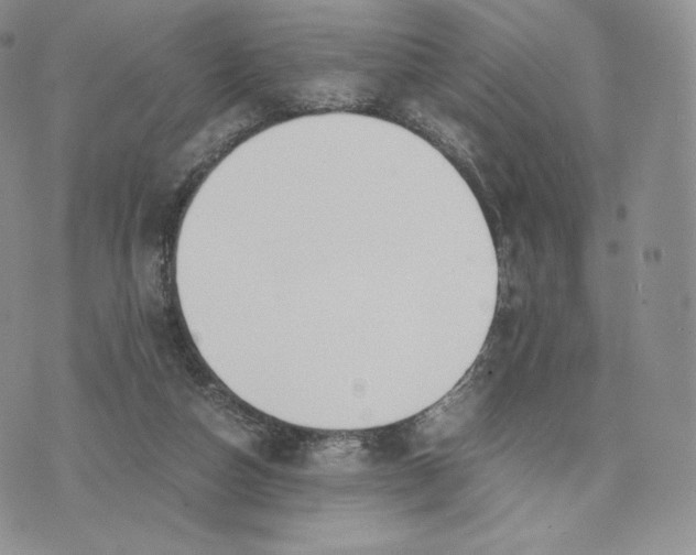 X0000075410162200609291715