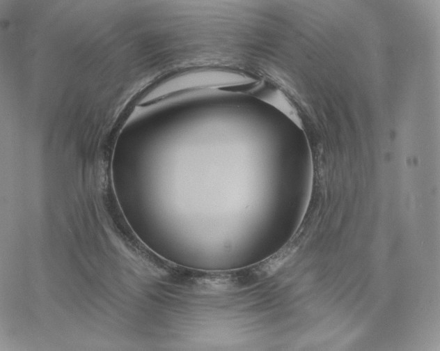 X0000075410164200609291715