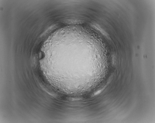 X0000075410165200609291715