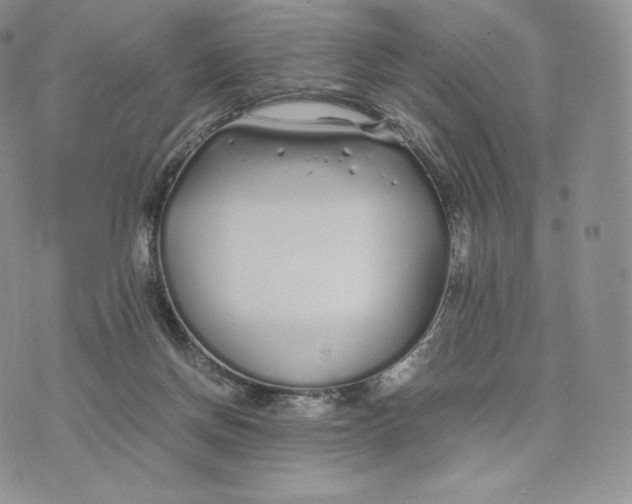 X0000075410166200609291715