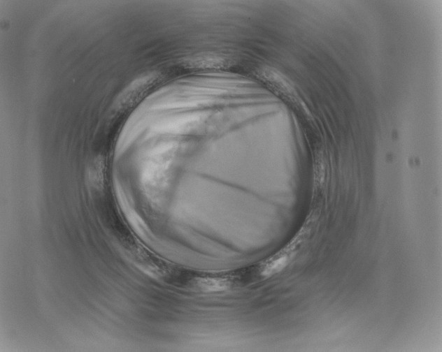 X0000075410167200609291715