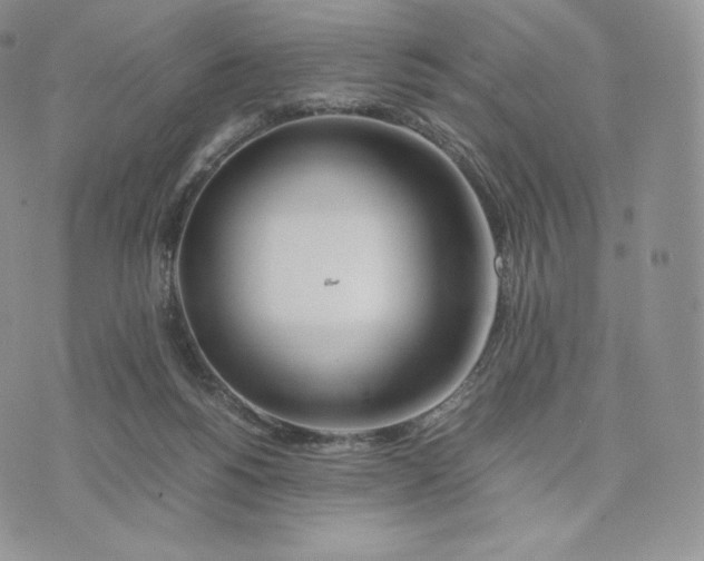 X0000075410168200609291715