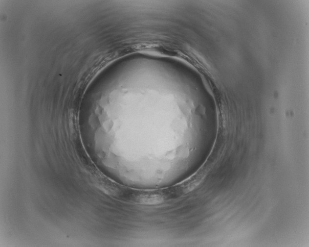 X0000075410169200609291715