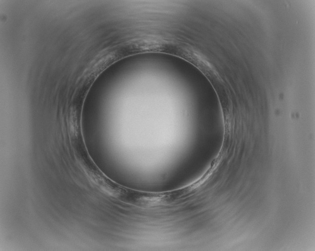 X0000075410170200609291715