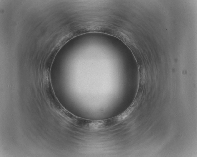 X0000075410172200609291715