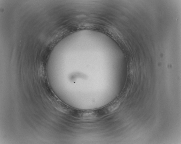 X0000075410173200609291715