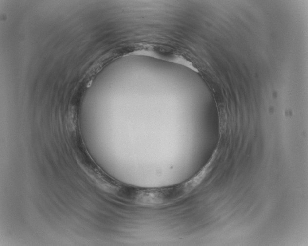 X0000075410174200609291715