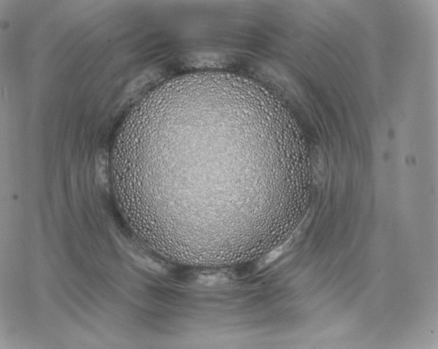 X0000075410175200609291715