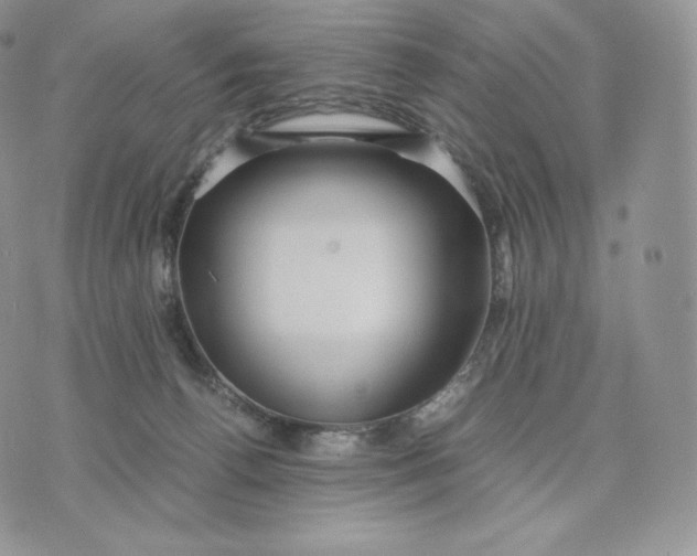 X0000075410176200609291715