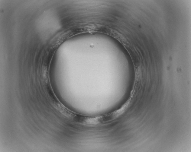 X0000075410178200609291715