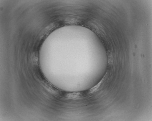 X0000075410179200609291715