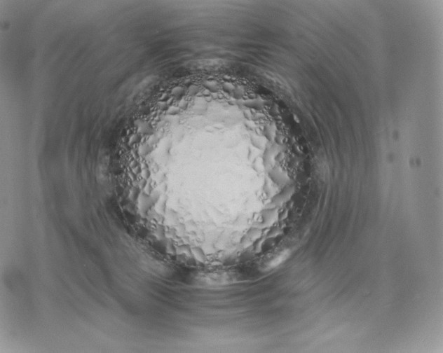 X0000075410181200609291715