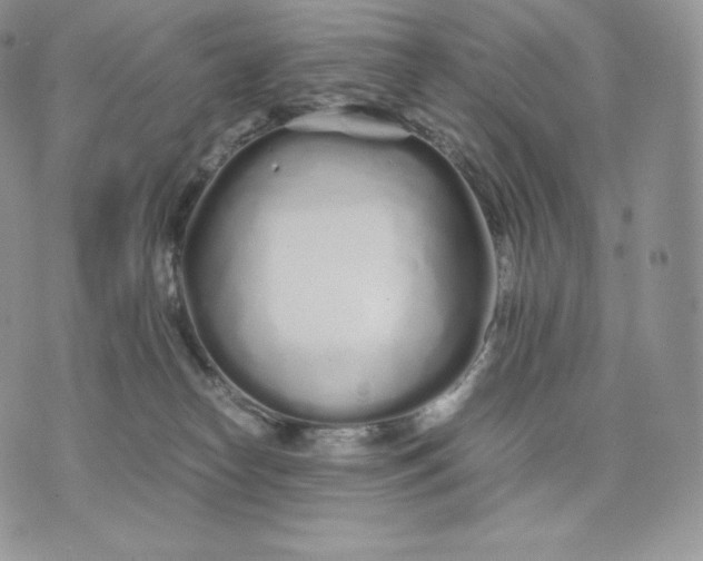 X0000075410182200609291715