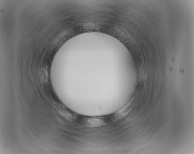 X0000075410183200609291715