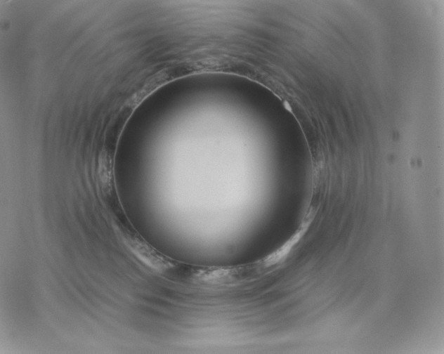 X0000075410186200609291715