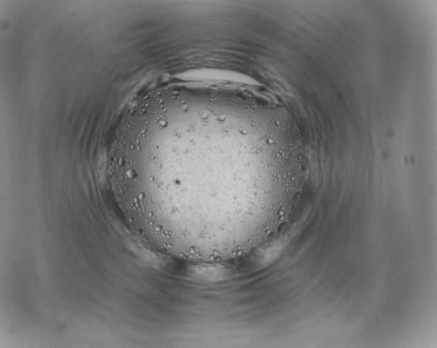 X0000075410189200609291715