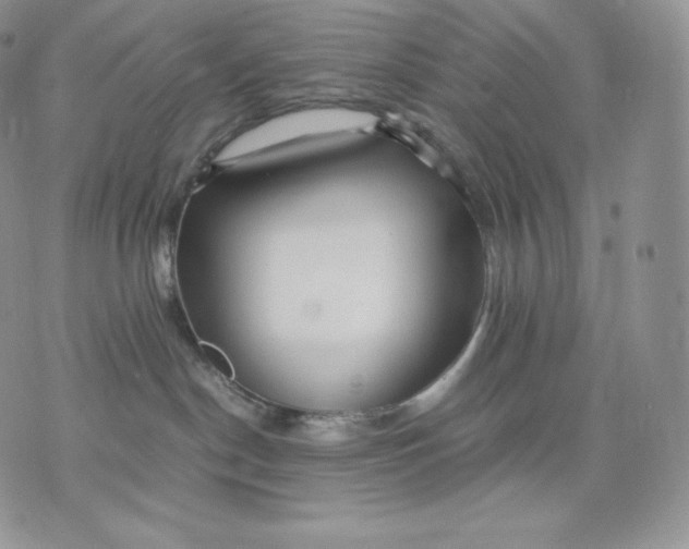 X0000075410190200609291715