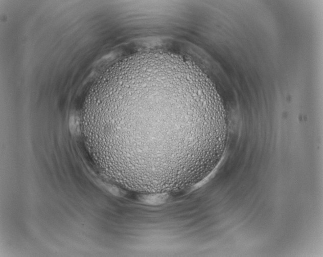 X0000075410191200609291715