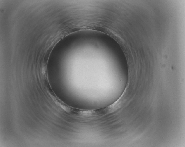 X0000075410192200609291716