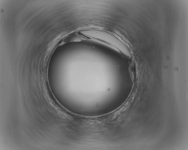 X0000075410193200609291715