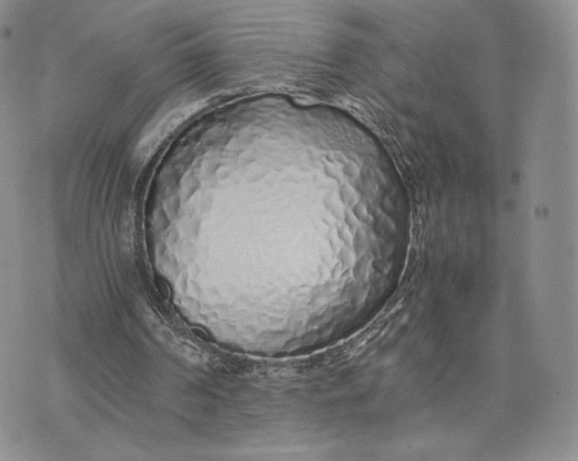 X0000075410194200609291715