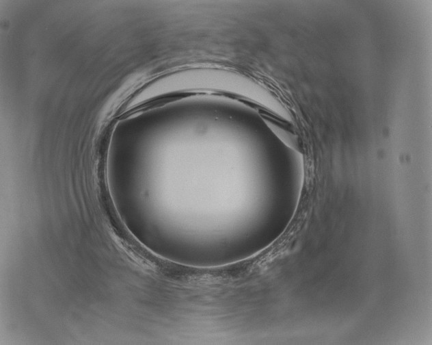 X0000075410197200609291715