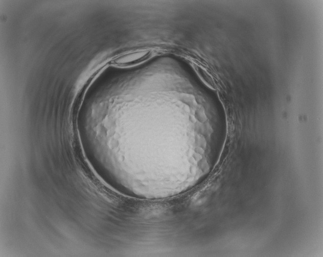 X0000075410198200609291715