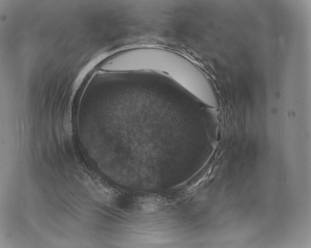 X0000075410200200609291715