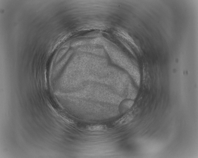 X0000075410202200609291715